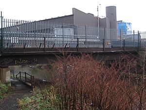 Hillsborough - Cadbury factory bridge (west)