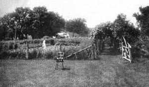 Ida Tarbell House garden