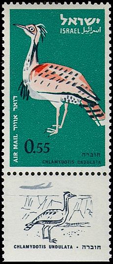 Israeli stamps 1963 - Birds of Israel - Chlamydotis undulata