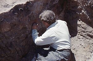 James Mellaart excavating a mural in Çatalhöyük.