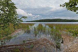 Kivivuorenlahti by Keihäsniemi in Luhanka, Central Finland, 2021 June.jpg