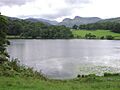 Langdale Pikes from Loughrigg