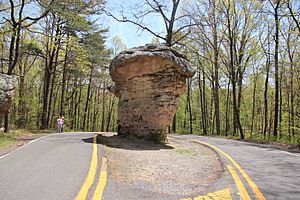 Little River Canyon Rim Parkway mushroom rock, Alabama April 2018 2
