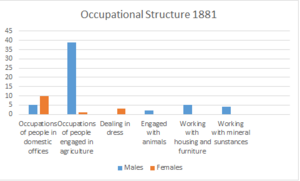 Occupational Structure 1881
