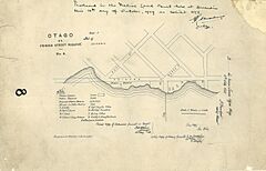 Otago A2 Princess Street Reserve (14313850967)