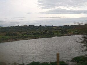 Pool alongside the railway line on the Malltraeth Marsh - geograph.org.uk - 1458822