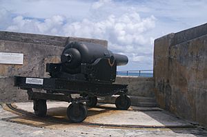 RML 10-inch Mk II gun closeup Fort St Catherine