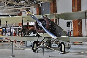 Replica Salmson 2 A.2 at Envol des pionniers