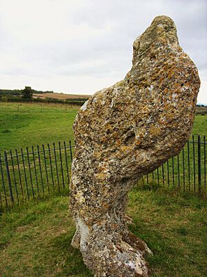 Rollright King Stone 2011