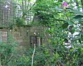 Ruins of Trinity Chapel, Brackenfield, Derbyshire