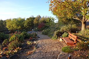 San Luis Obispo Botanical Garden - San Luis Obispo, CA - DSC06080