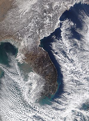 Snow in South Korea on 25 January 2016