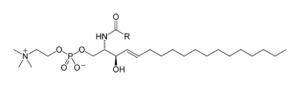 Sphingomyelin-horizontal-2D-skeletal