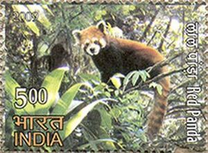 Stamp of India - 2009 - Colnect 159926 - Red Panda Ailurus fulgens