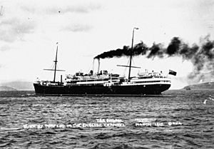 StateLibQld 1 171359 Rotorua (ship).jpg