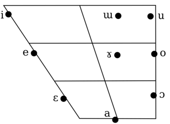 Thai vowel chart (monophthongs)