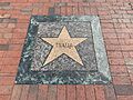 Thalia Star Little Havana Latin Walk Of Fame