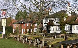 The Red Lion Inn at Shamley Green - geograph.org.uk - 1578524