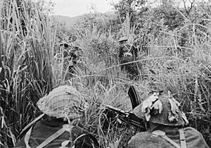 The War in the Far East- the Burma Campaign 1941-1945 IND3479