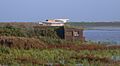 Titchwell131111-238