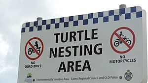 Turtle Nesting Area advisory sign, Bramston Beach, 2018