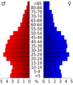 USA Davidson County, Tennessee.csv age pyramid