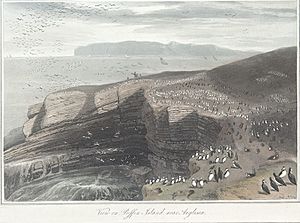 View on Puffin Island, near Anglesea