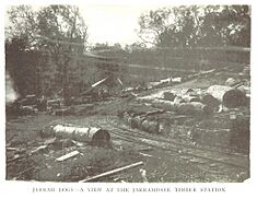 W.-Australia(1892) p055 THE JARRAHDALE TIMBER STATION, WESTERN AUSTRALIA