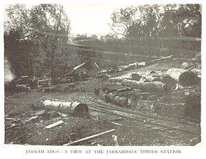 W.-Australia(1892) p055 THE JARRAHDALE TIMBER STATION, WESTERN AUSTRALIA