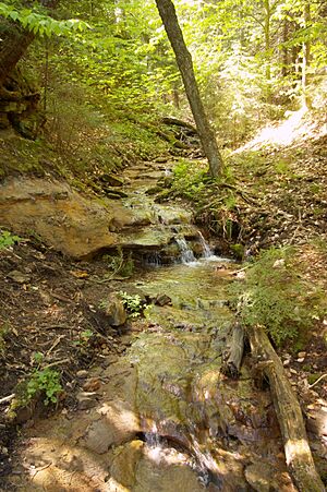 Wagner Falls Upper Portion