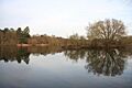 West Stow Lake - geograph.org.uk - 639767