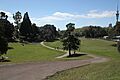 Western Park playing field 2