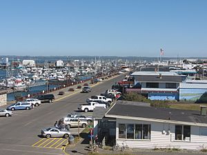 The marina district of Westport, looking east from the Westport Viewing Tower