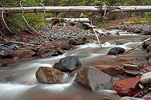 Whychus Creek, Oregon.jpg