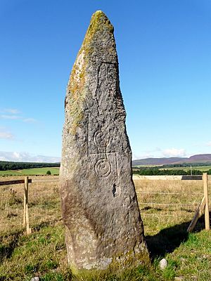 "Clach Biorach" (The Pointed Stone), Ardmore - geograph.org.uk - 915406