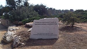 הגן הלאומי והאוניברסיטאי ע"ש טבצ'ניק - הר הצופים 1