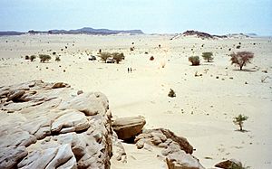 1997 278-13 Sahara Niger