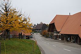 2011-11-11-Mezlando (Foto Dietrich Michael Weidmann) 087.JPG
