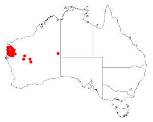 Acacia subtessarogonaDistMap873.png