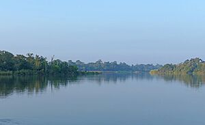 Armand Bayou