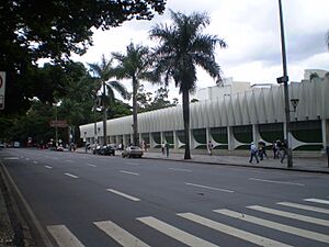 AvenidaAfonsoPena e PalacioDasArtes