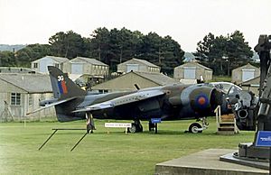 BAe Harrier at Mucklebough.jpg