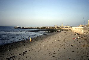 Beach, Kuwait City, 1980