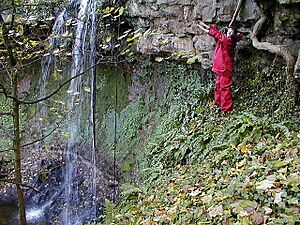 Bilsdean Glen - geograph.org.uk - 138158