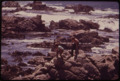 California - Carmel Beach - NARA - 543492