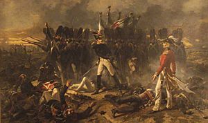 Cambronne à Waterloo, ARMAND-DUMARESQ Charles-Édouard (1826-1895)