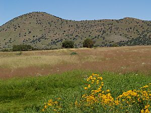 Canelo Hills & Bullfrog Pond