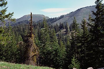 Chumstick Mountain Summit from Primitive Access Road.jpg