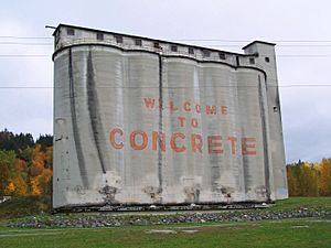 Concrete silos in autumn