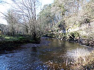 Craigmill, Cessnock Water